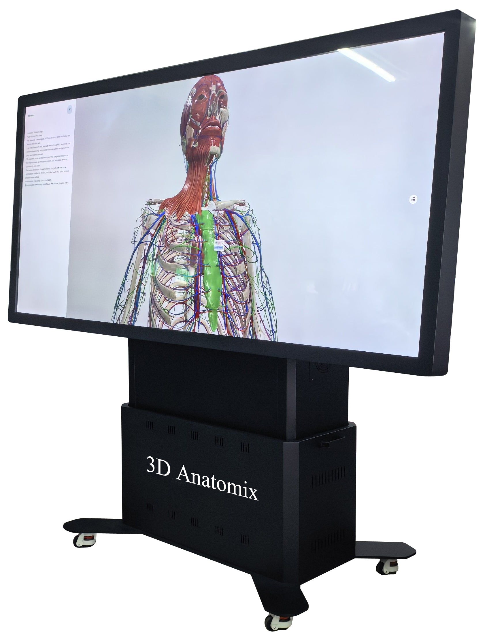 COTIZACIÓN - Mesa 3D Anatomix Classic