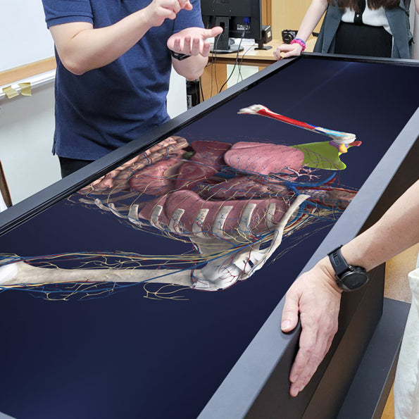 COTIZACIÓN - Mesa 3D Anatomix RAT