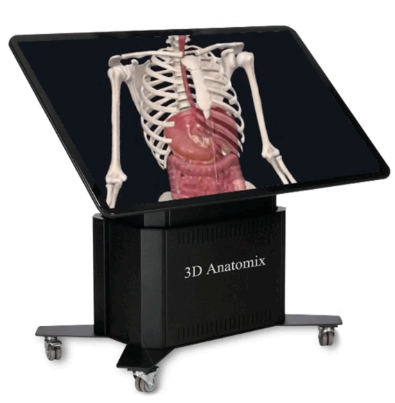 COTIZACIÓN - Mesa 3D Anatomix Classic