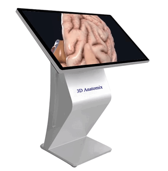 COTIZACIÓN - Mesa 3D Anatomix Mini